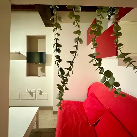 Apartament Niki O. *